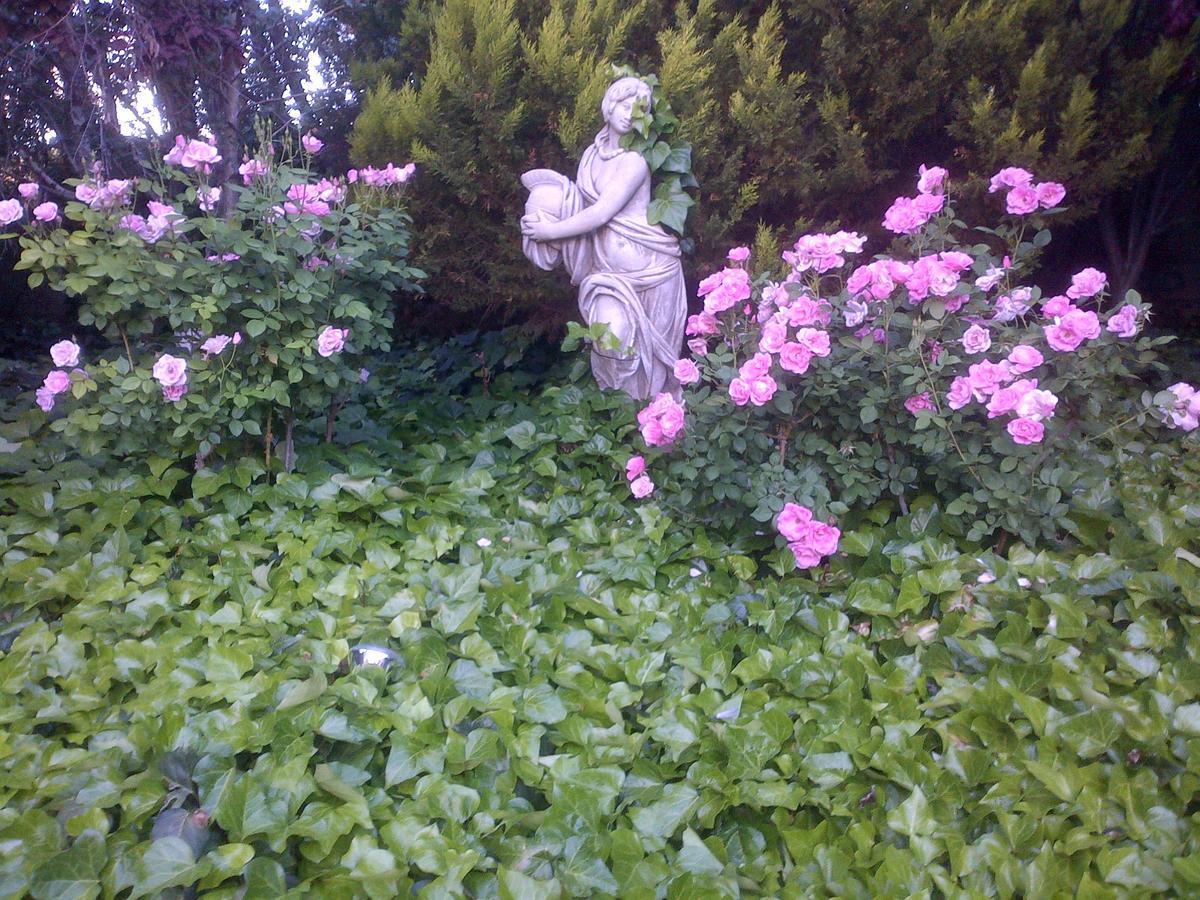 Bed and Breakfast Giardino a 194 Welkom Esterno foto