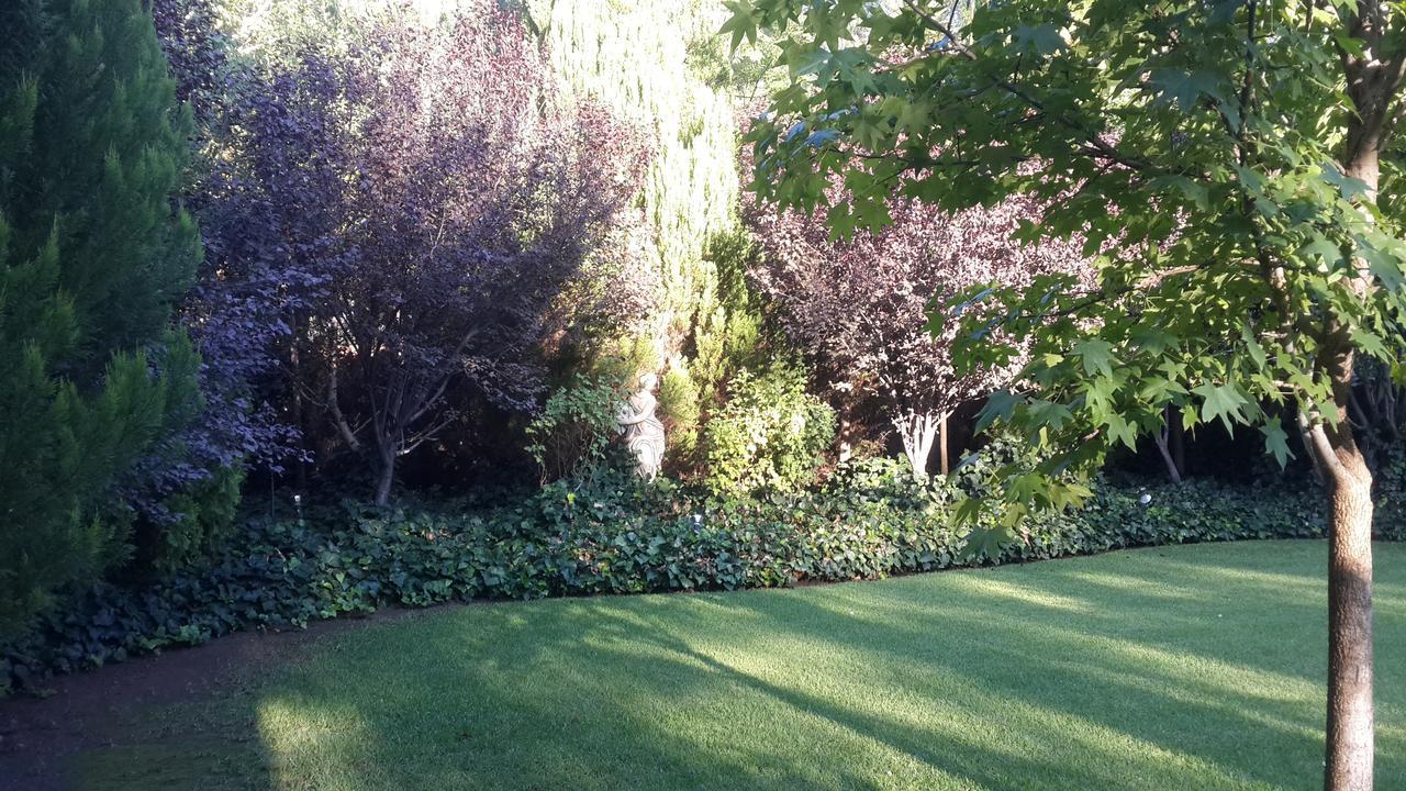 Bed and Breakfast Giardino a 194 Welkom Esterno foto
